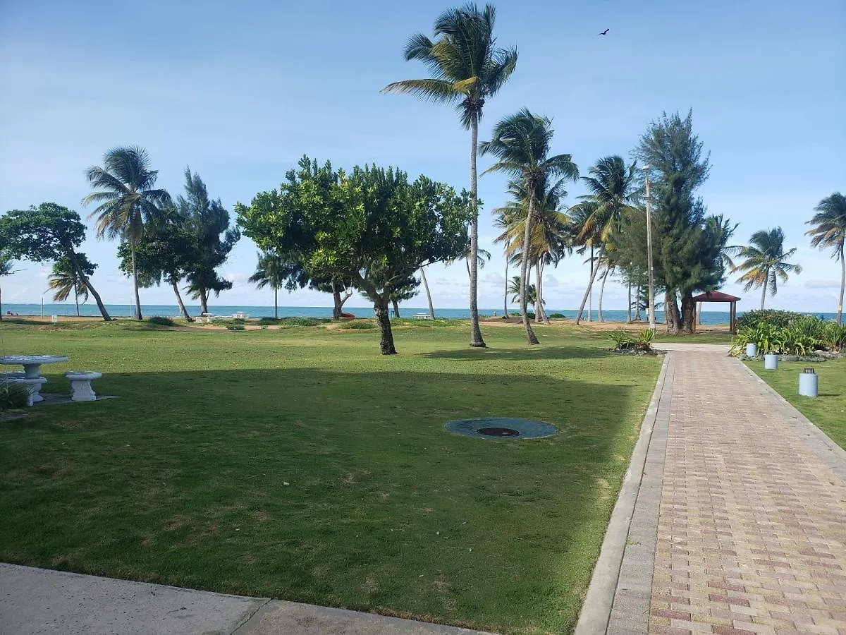 Relax Beachfront Complex At Rio Grande 0*,
